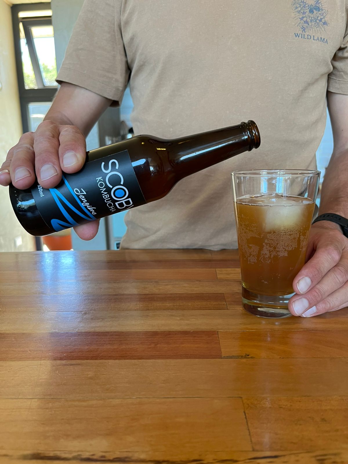 Scoby Kombucha - Jengibre 2